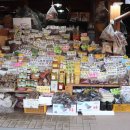 시인의정원펜션 이미지