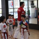 용인대 태권얍 이미지