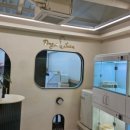 도그드살롱 이미지