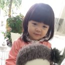 네꼬망 이미지