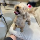 GS25 한양여대점 | #3 도자공예기능사 2025 실기 시험 후기(한양여대)ㅣ시험 꿀팁 대방출ㅣ주차 정보ㅣ2026년 실기 문제ㅣ...