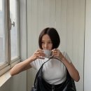 데일리풀 이미지