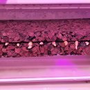 노두농장 이미지