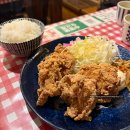 리치투어 | 오사카 3박4일 일정 총정리｜실제 여행코스·이네후나야 일일투어·맛집 후기