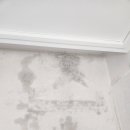 실크캐슬 이미지