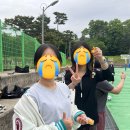 국원마트 이미지