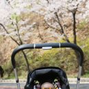 도구머리공원1-21 이미지