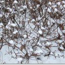 구룡산정상 이미지