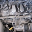 애니카랜드 화원점 이미지