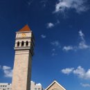 세종사이버대학교 이미지