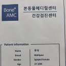 곰아저씨동물병원