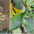 ㈜청솔나무병원 이미지