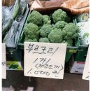 휘난새