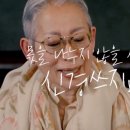 이도사유 이미지