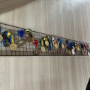 고트복싱(G.O.A.T Boxing) 이미지