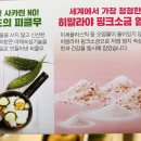 자담치킨재송