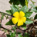 나는야 꼬마스피치 이미지