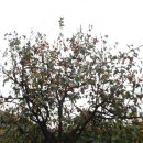 지적박물관 이미지