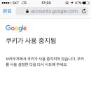 구글 쿠키를 사용설정 하는 법이요 이미지