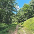 강림목장 이미지