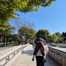 국립부여박물관 기획전시실 | 국립공주박물관ㅣ7살 아이랑 공주 부여 여행코스 추천