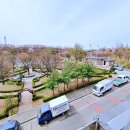 개나리공원 농구장 이미지