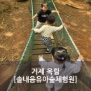 옥림 유아숲체험원 이미지