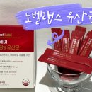 노벨덴탈 | 건강한 나를 위한 투자 고소한 유산균 추천 : 노벨랩스 당케어 혈당 유산균