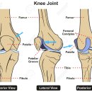 대전산재병원 별관1 | 양·한방 협진의 대전굿니스병원 <도수치료>
