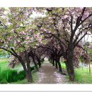 월곡공원 이미지