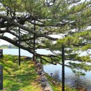 수산에머물다 이미지