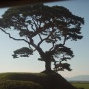 현대농장 이미지