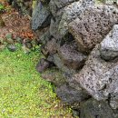 제주 소락 이미지