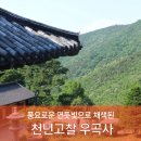 동읍농협자여지점 | 우곡사의 5월은 연둣빛으로 채색되다