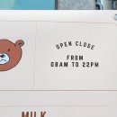카페우드베어 영통