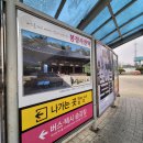 오천리 버스정류장(양촌리방면) 옆 | 선비 사상을 찾아 떠나본 안동 여행 6편 군자 마을 탁청정 예끼 마을과 성선 수상길