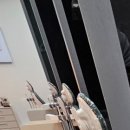 동래손치과의원 이미지