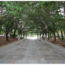 매여울생태공원 이미지