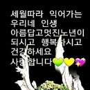 행복한아침 Daum카페
