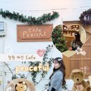 빈티지카페안 | 창원마산 유럽감성카페 - '피스풀' 귀여운 곰돌이 가득한 빈티지카페 솔직후기