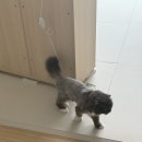 민원농장 | 층간소음매트 고민 끝! 소리잠 시공매트 거실 시공 솔직후기 (+비용.A/S기간.이사재시공)