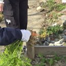 율하농장 이미지