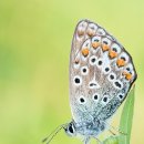 전영호동물병원 이미지