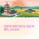 신리성지에서 만나는 신앙과 자연, 감성 여행의 완성