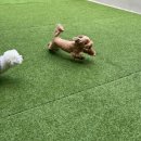 헬로우버디 광교점 이미지