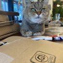 대청농업협동조합 하나로마트 이미지