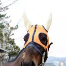 연승축산