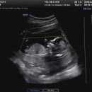 율산부인과의원 이미지