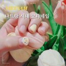아트코타 이미지