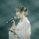 월광포차 | 2026 남원 월광포차 테이 김기태 양파 임정희 김종서 공연 라인업 월광포차